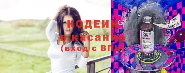 винт Вяземский